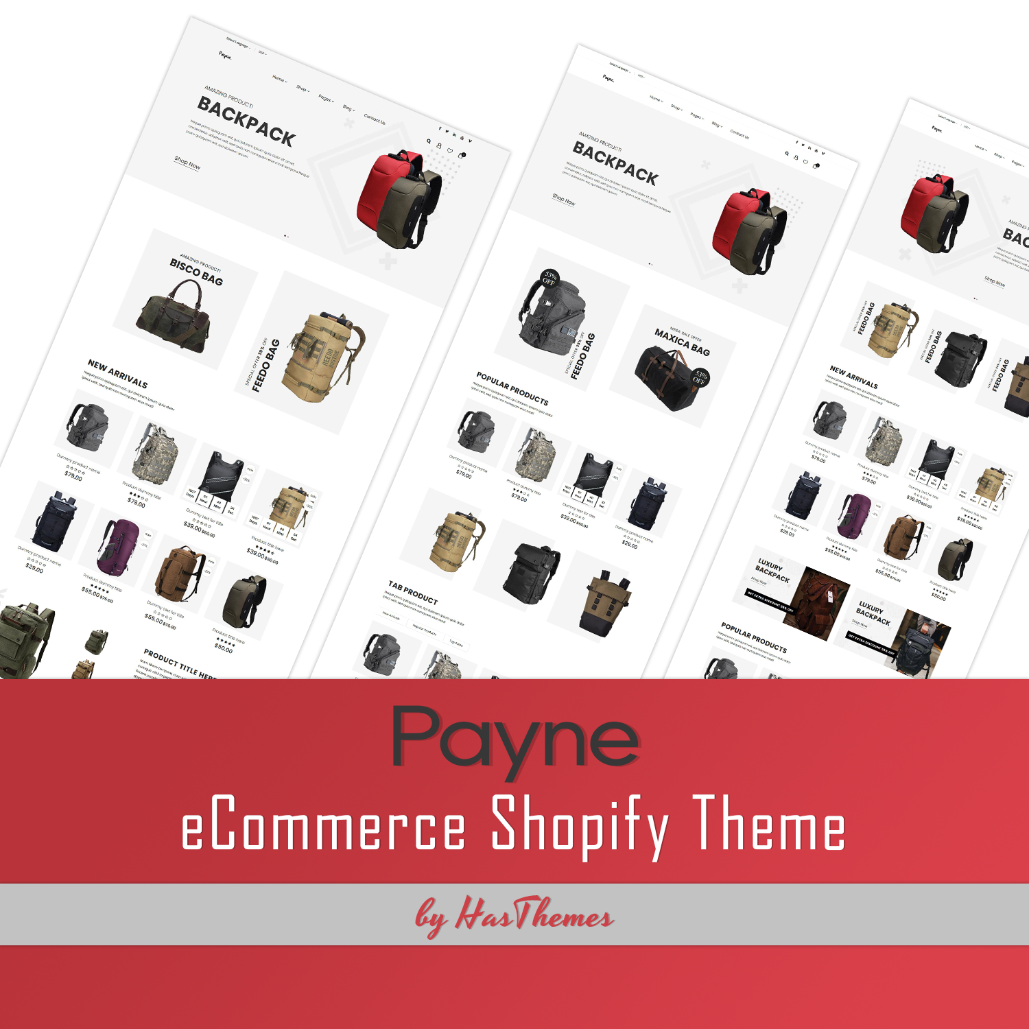 Preview ecommerce shopify theme payne.
