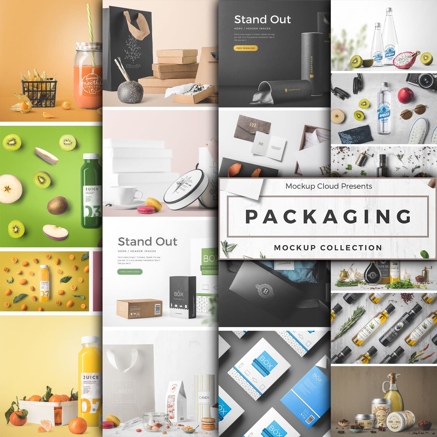 Preview packaging mockup collection.