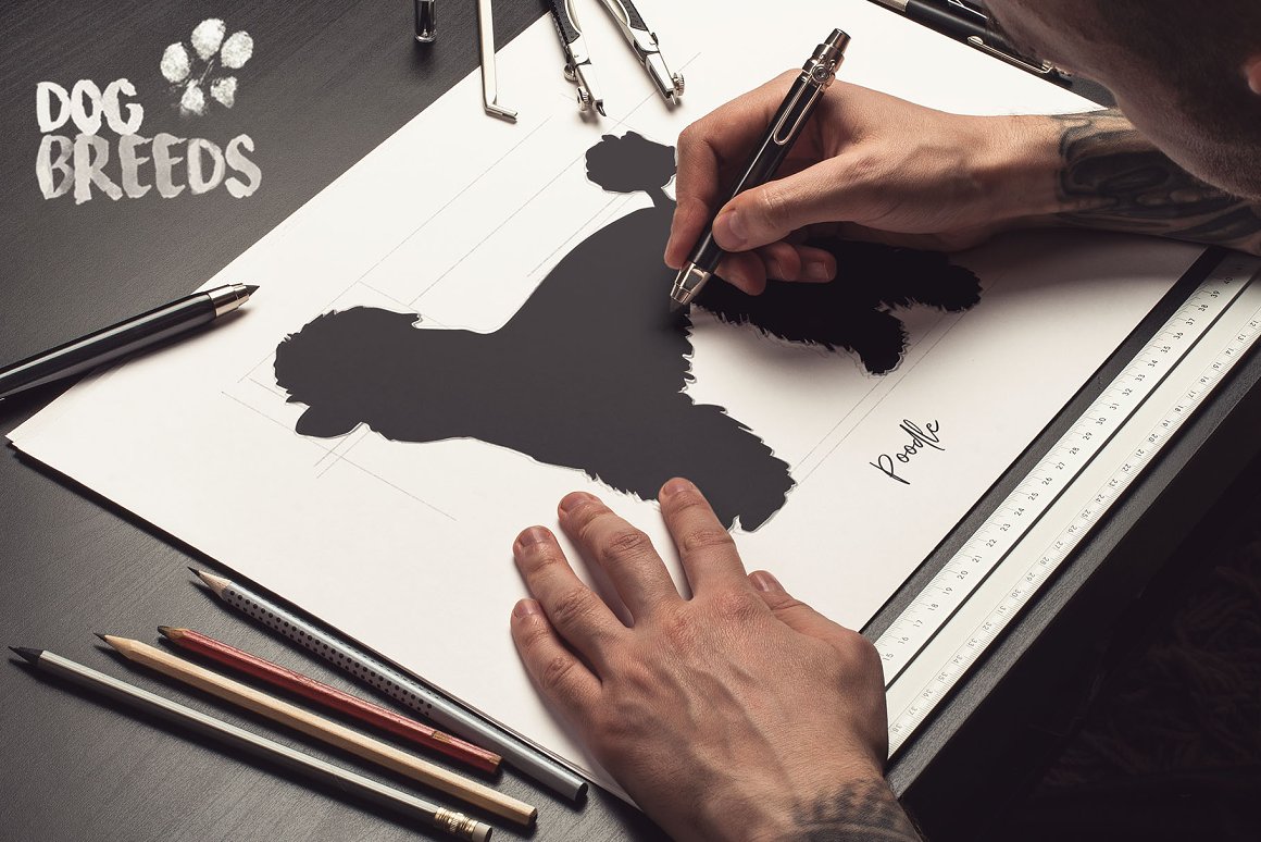 Drawing of a black dog.