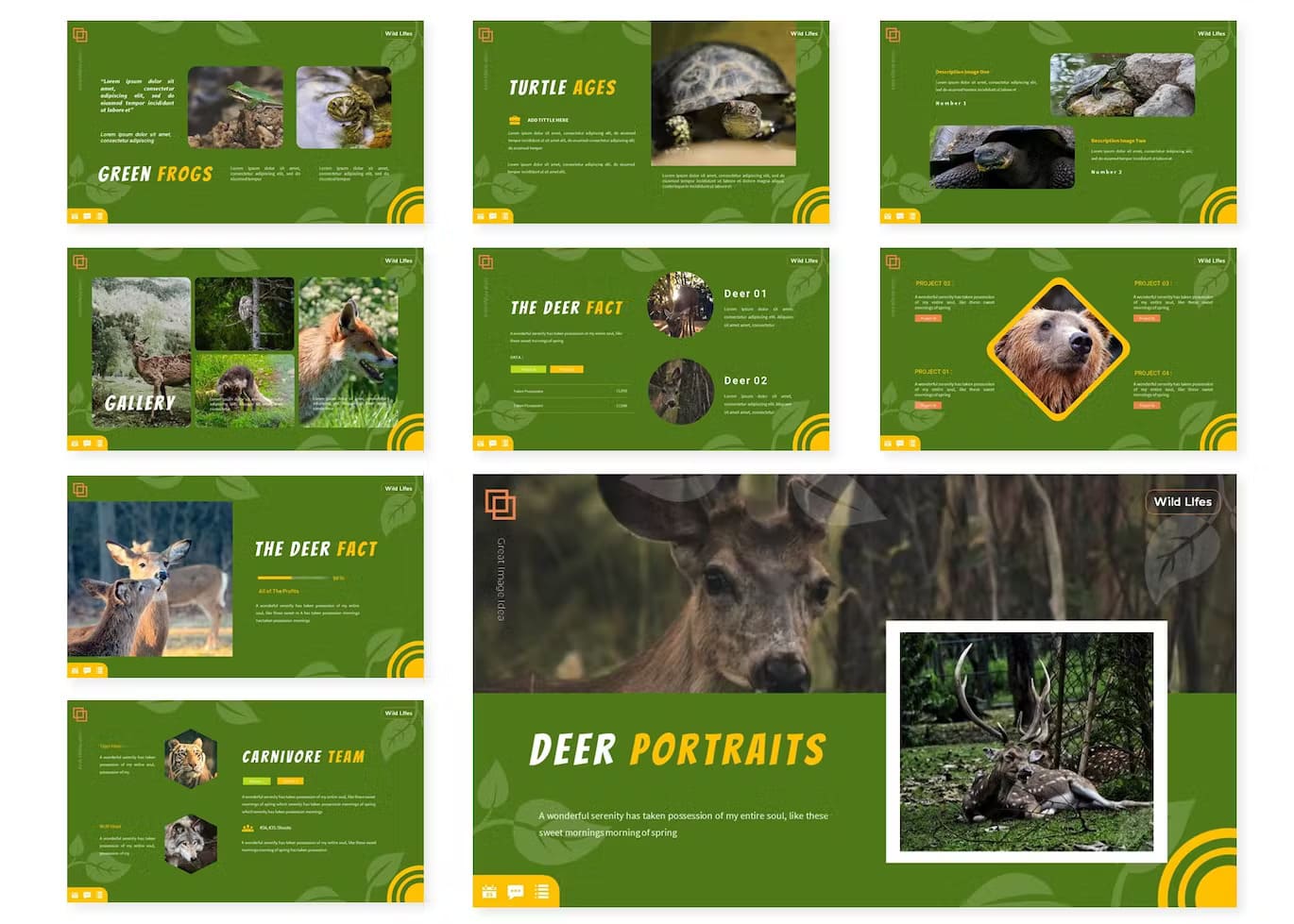 Carnivore team and deer fact on the Elephant fact on the animal looklike template.