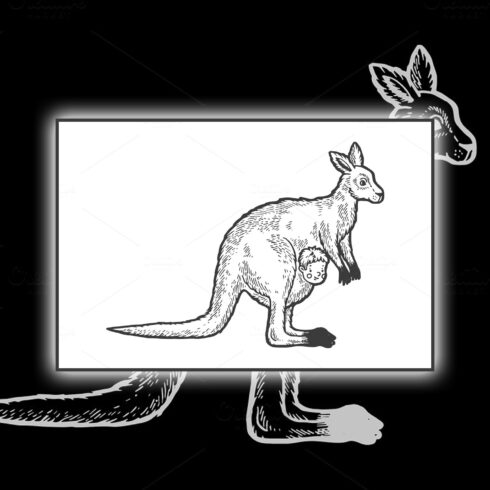 Kangaroo with Human Baby Sketch Design cover image.