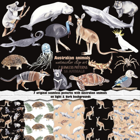 Australian Animals Clipart Pattern cover image.