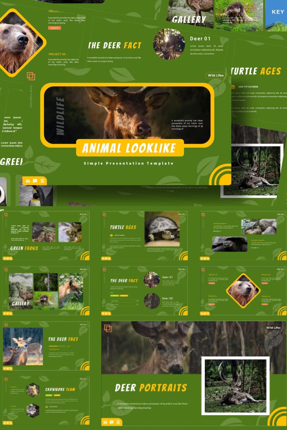 Animal Looklike | Keynote Template on the green background.