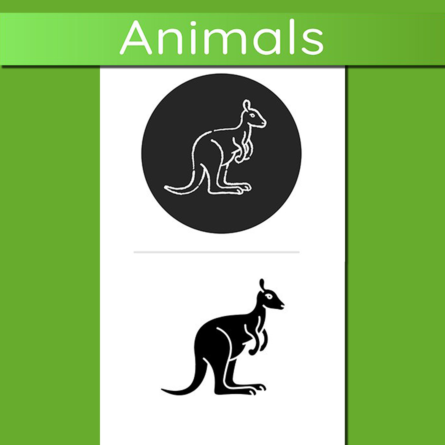 Kangaroo Icon Illustrations cover image.