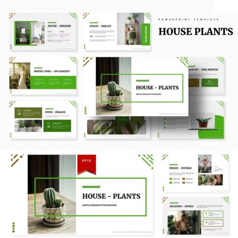 Four images of house plants.