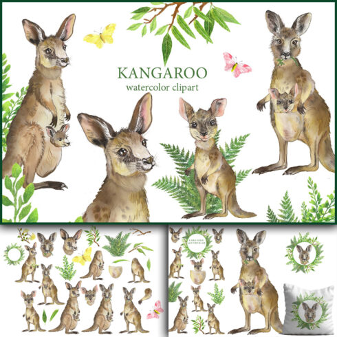 Kangaroo Watercolor Clipart Family Kangaroo Australia cover image.