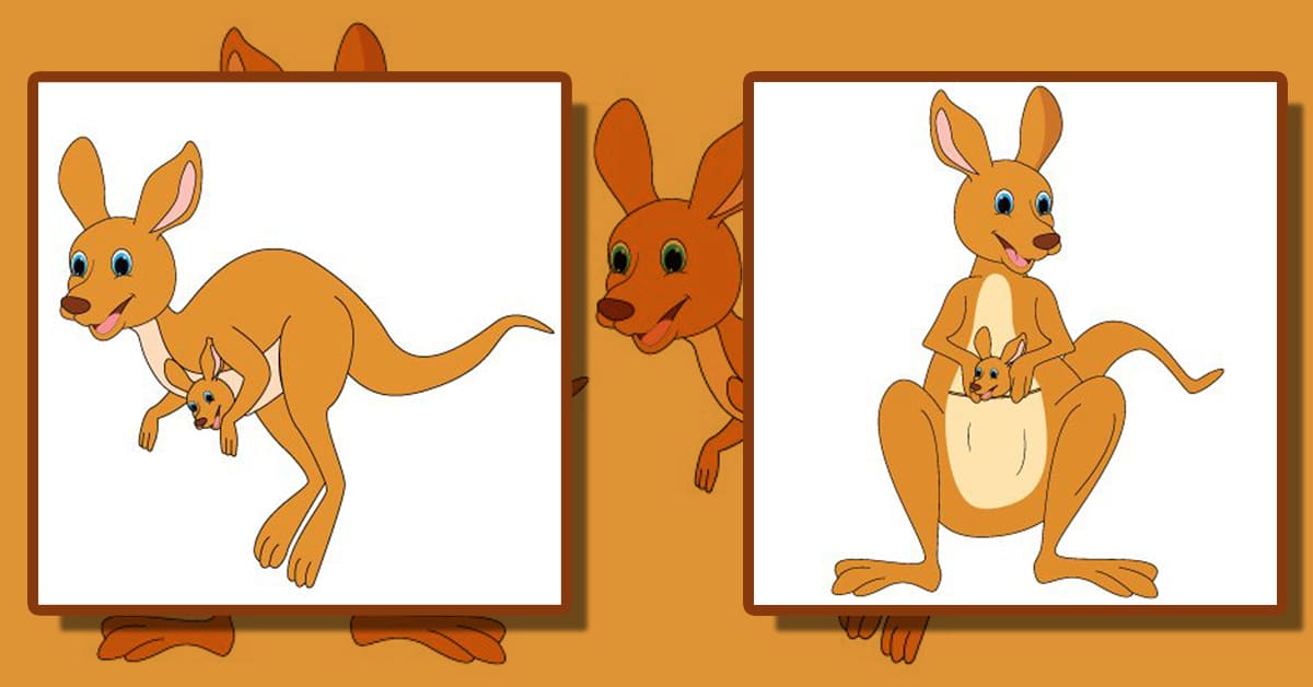 Cute Kangaroo Cartoon – MasterBundles