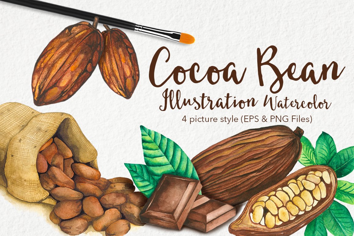 Beautiful images of cocoa beans.