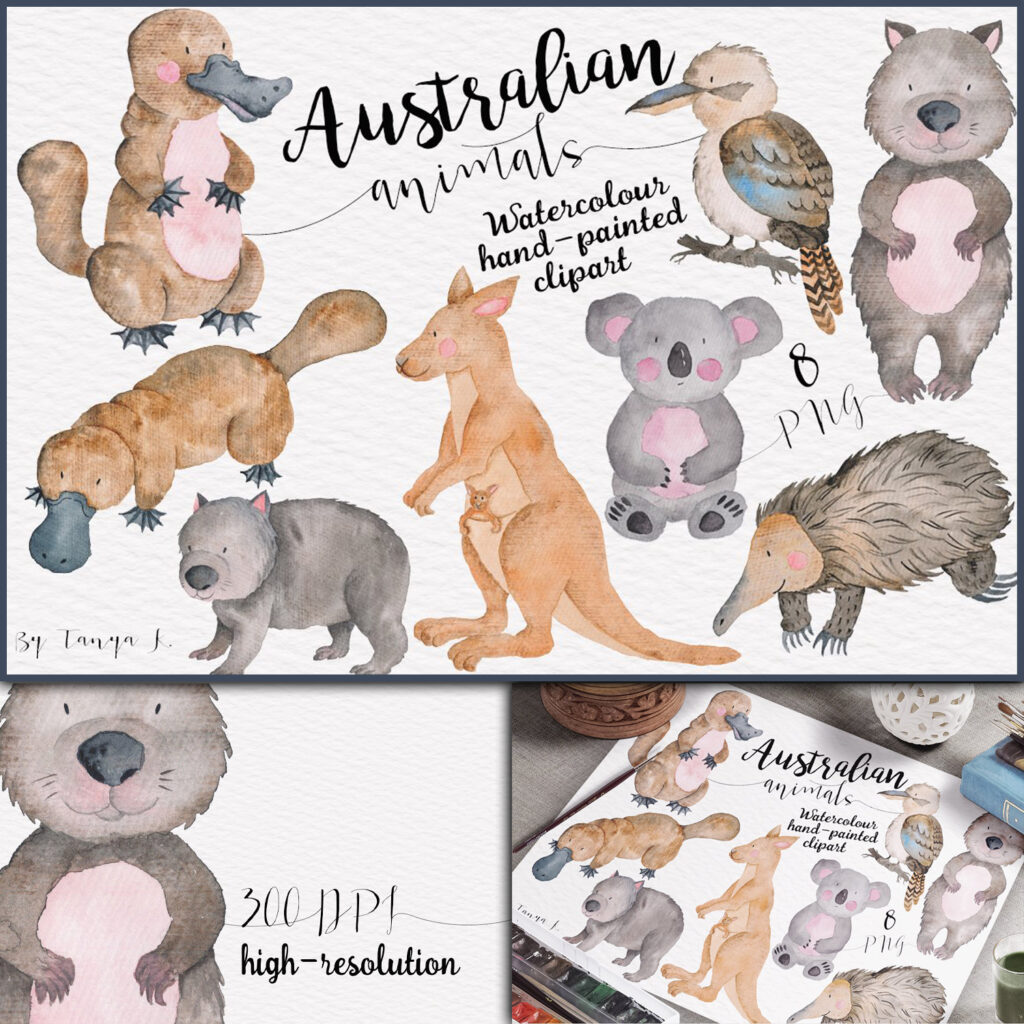 Australian Animals Clipart Watercolor | Master Bundles