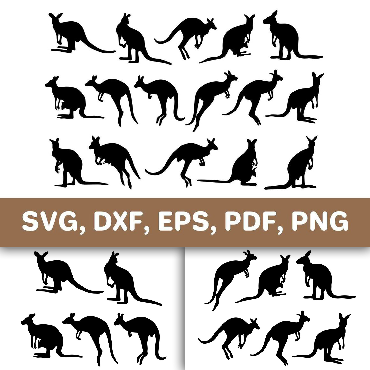 Kangaroo SVG Cut File Clipart cover image.