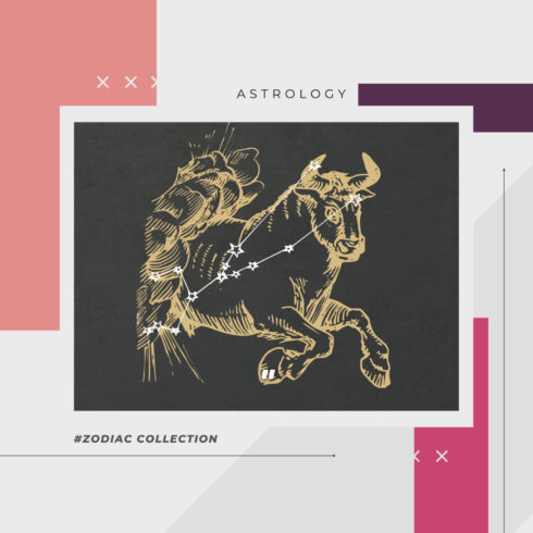 Preview astrology zodiac collection.