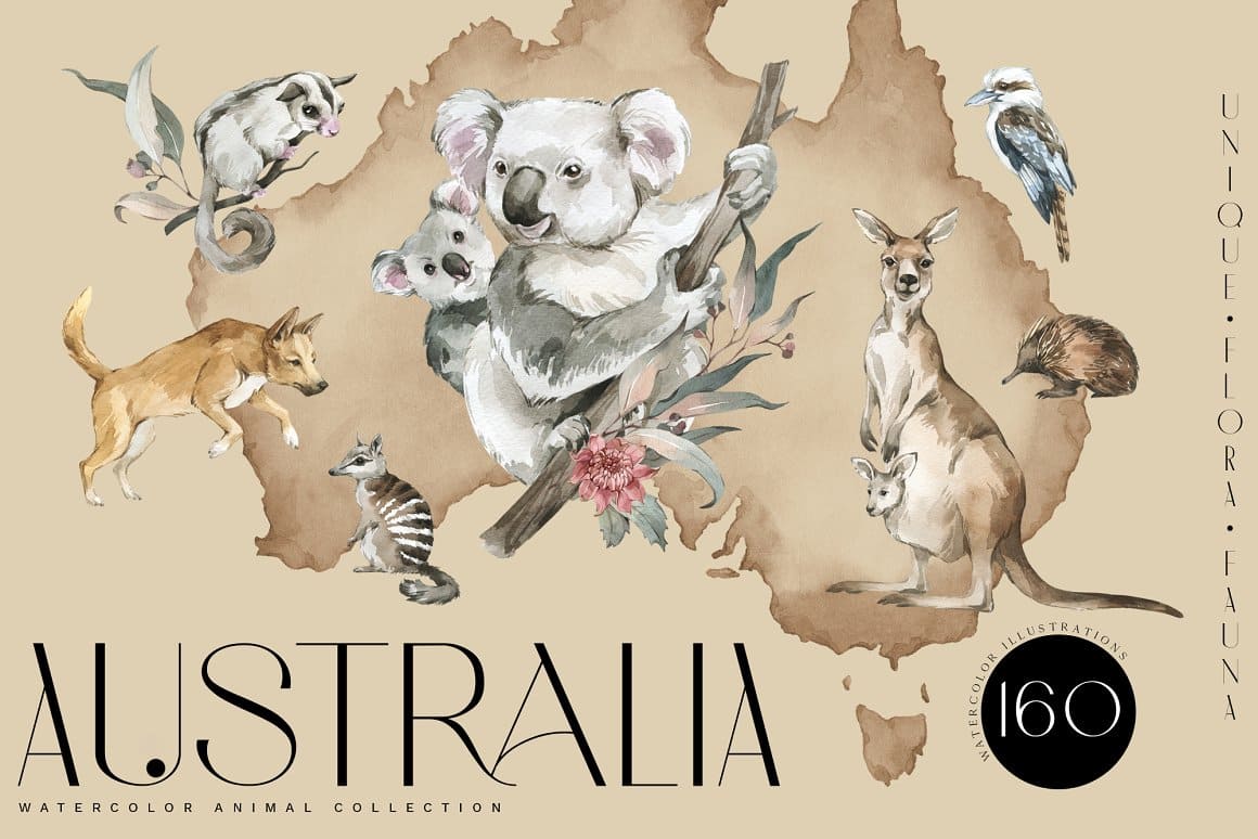 Australia Flora and Fauna Preview image.
