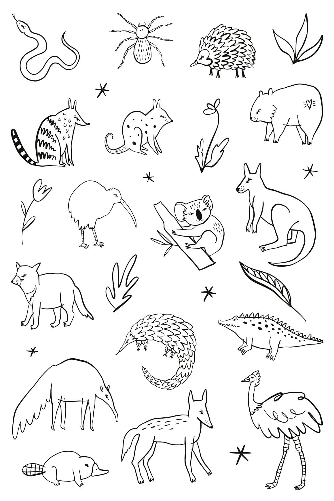 Australian Animals Black and White preview image.