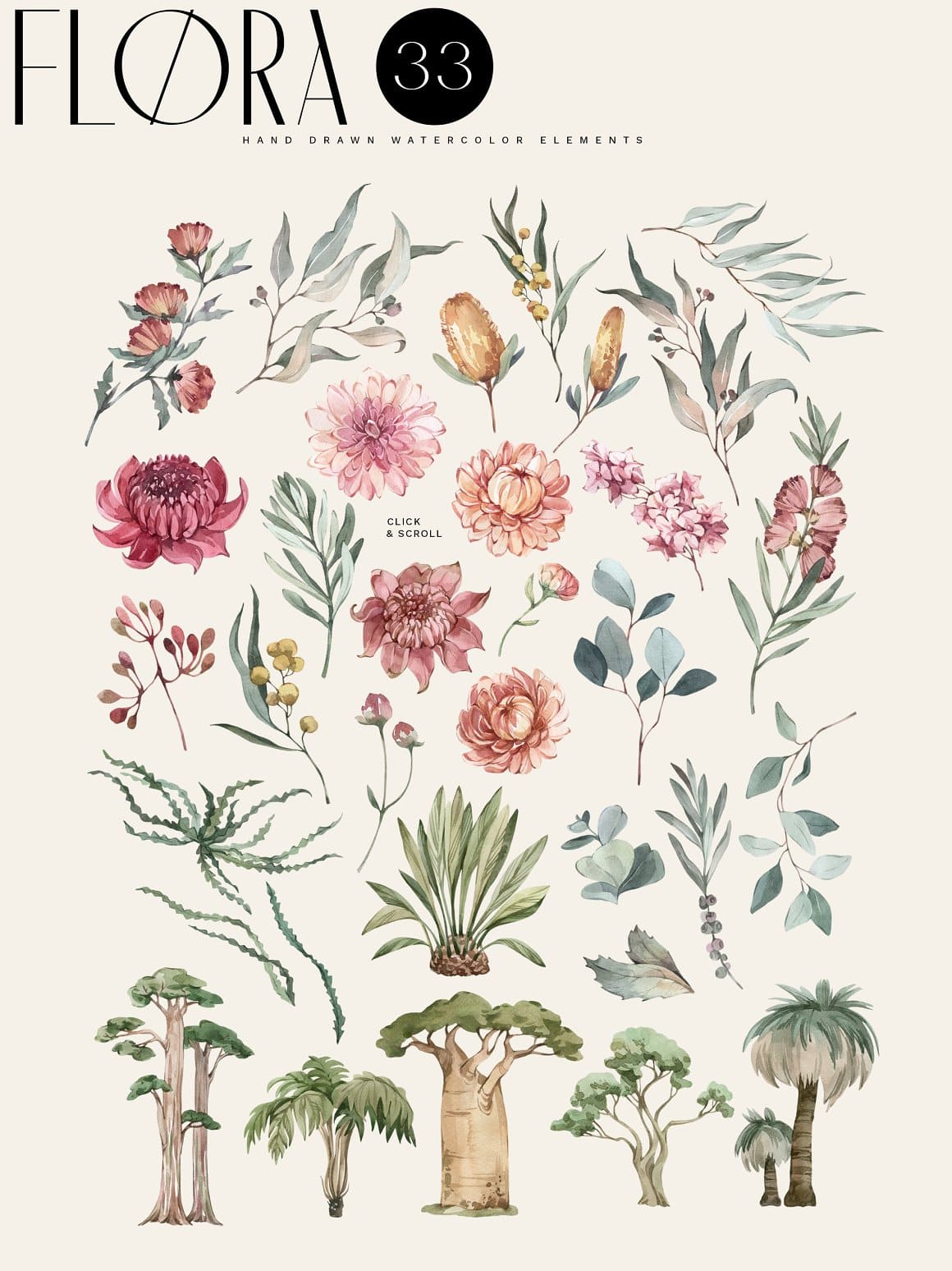 Australian Flora and Flowers Illustration preview image.