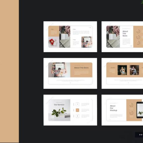 Steiz - Bookstore Presentation Template | Master Bundles