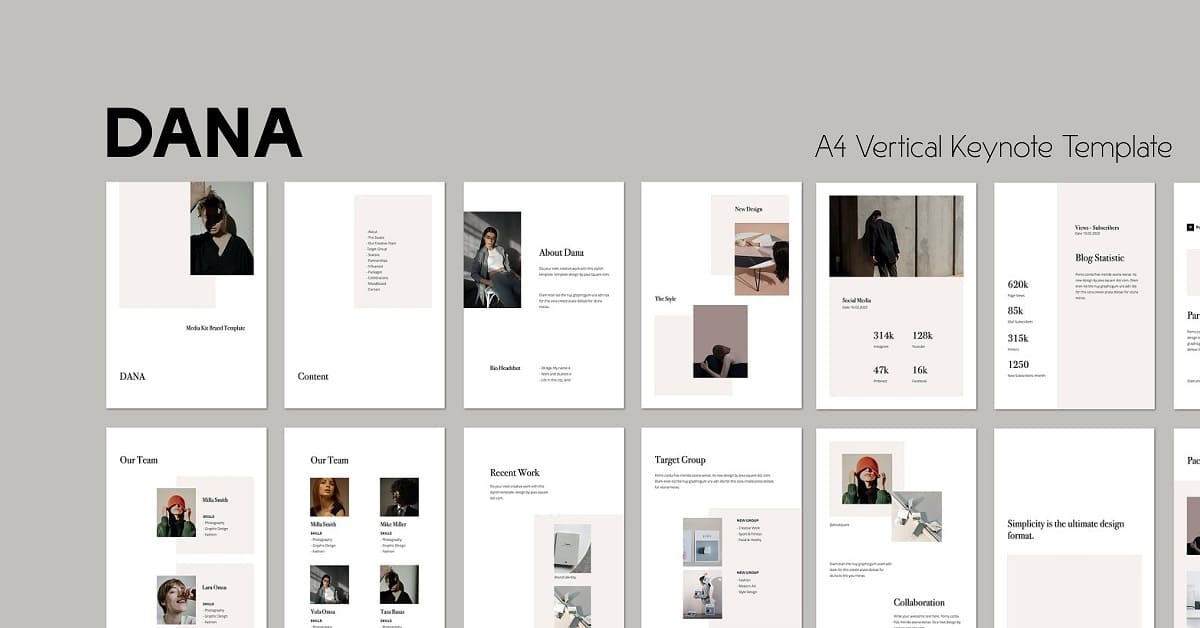 Blog statistic of Dana A4 Vertical Keynote Template.