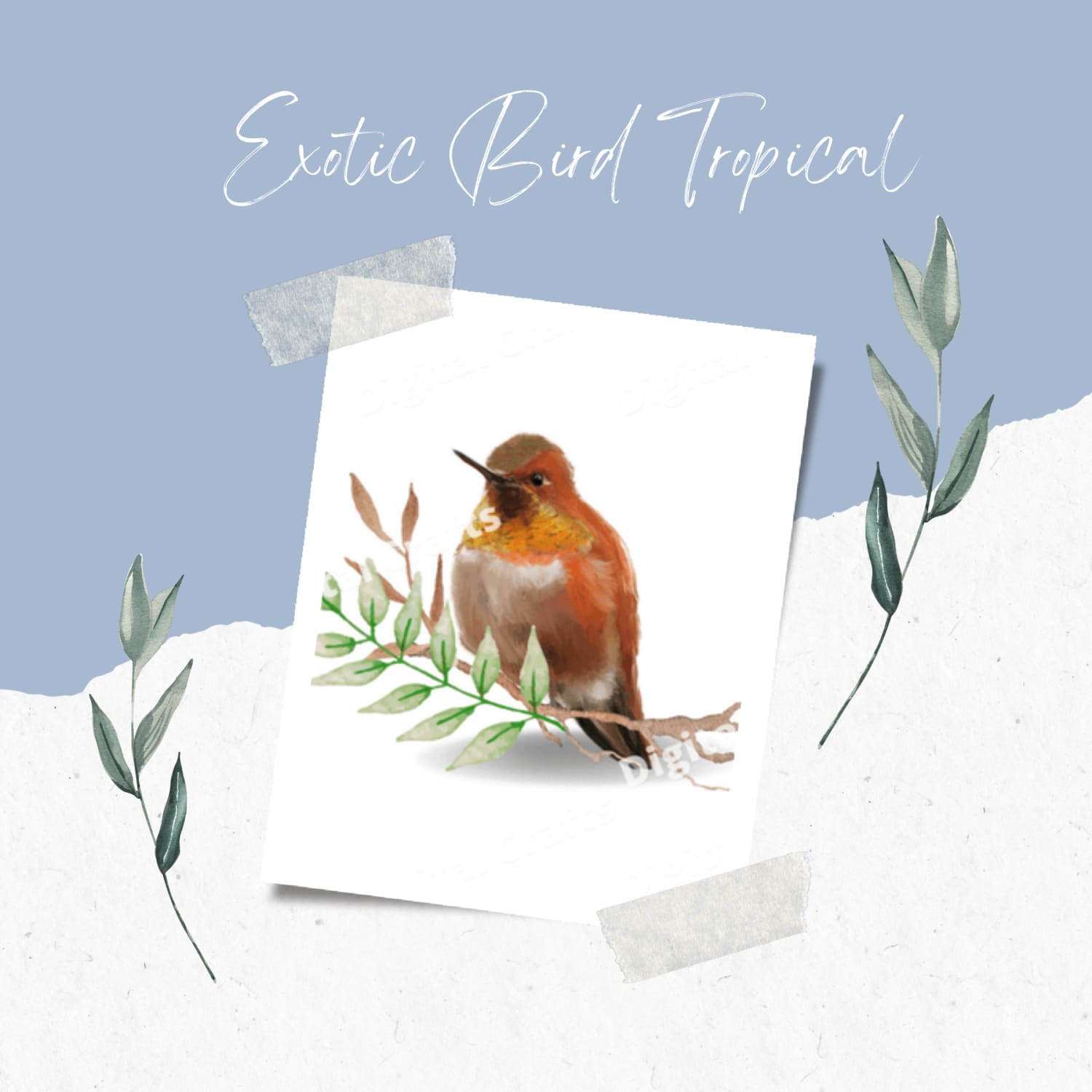 Prints of exotic bird tropical.