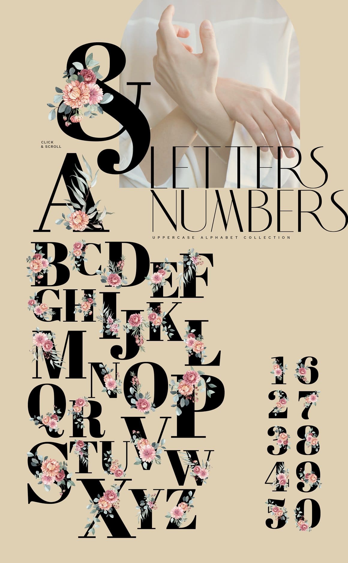 Floral Letters and Numbers Illustrations preview image.