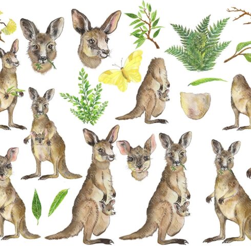 Family Kangaroo Watercolor Clipart | Master Bundles