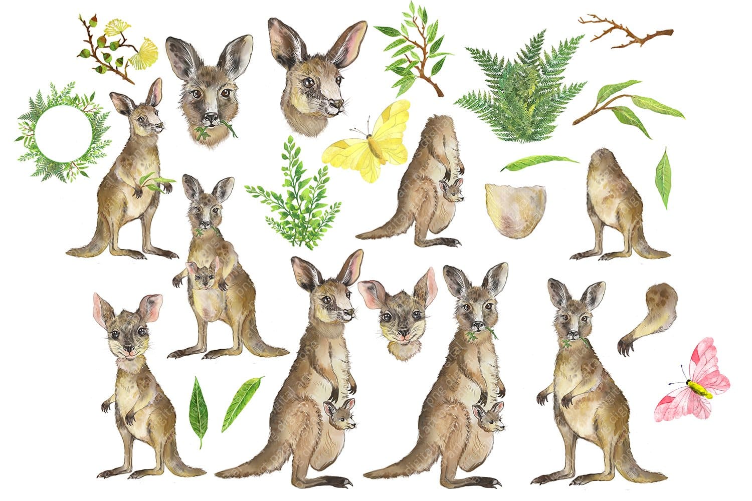 Kangaroo Watercolor Clipart preview image.