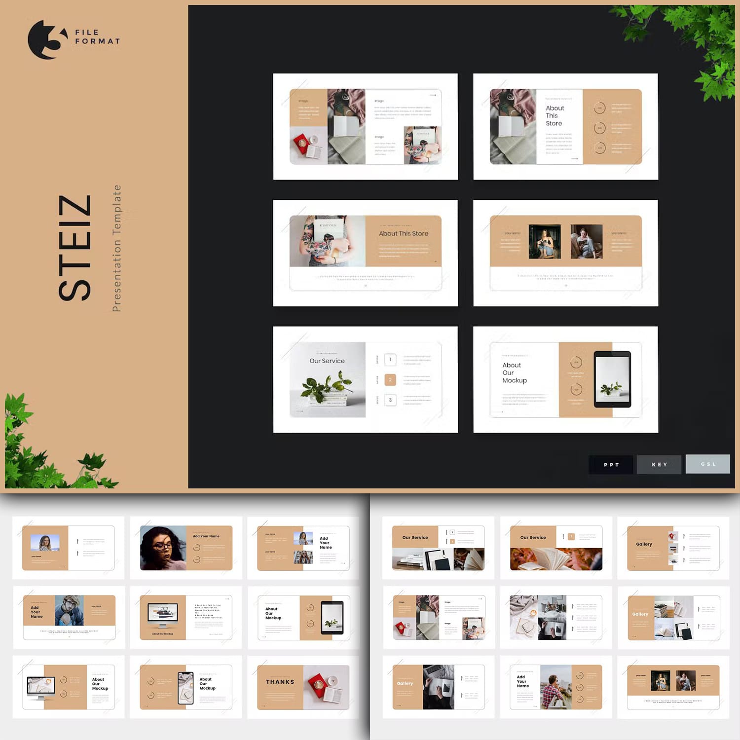 3 file format of Steiz presentation template.