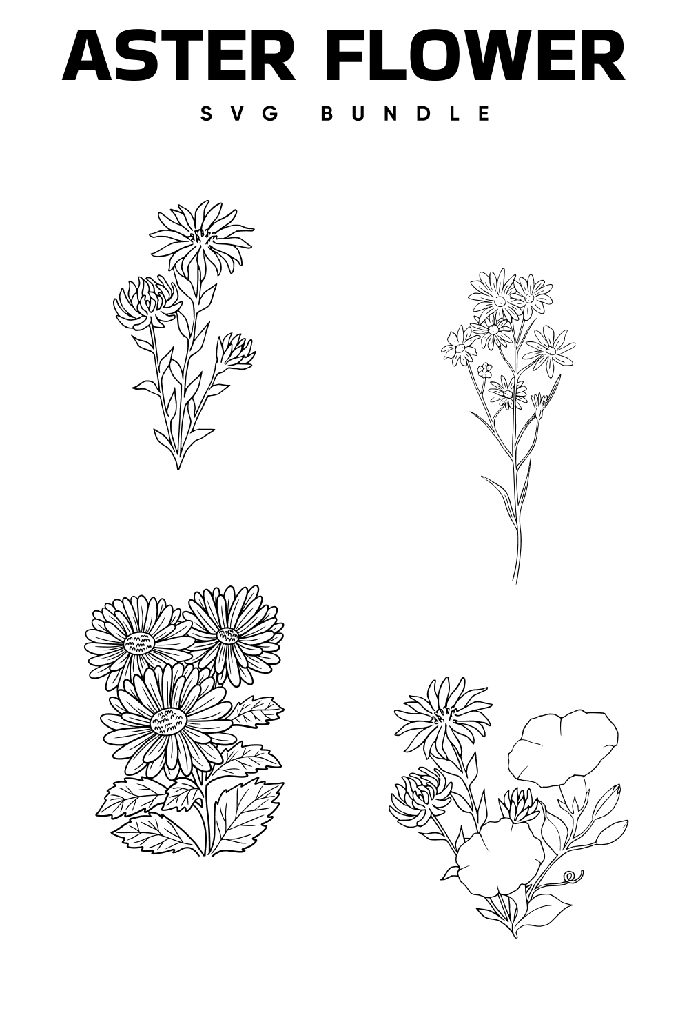 Pinterest illustrations aster flower svg bundle.