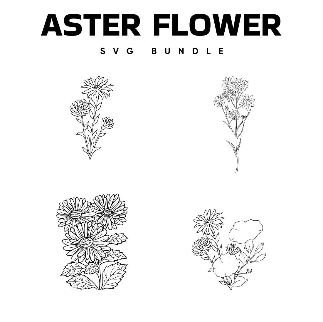 Preview aster flower bundle.