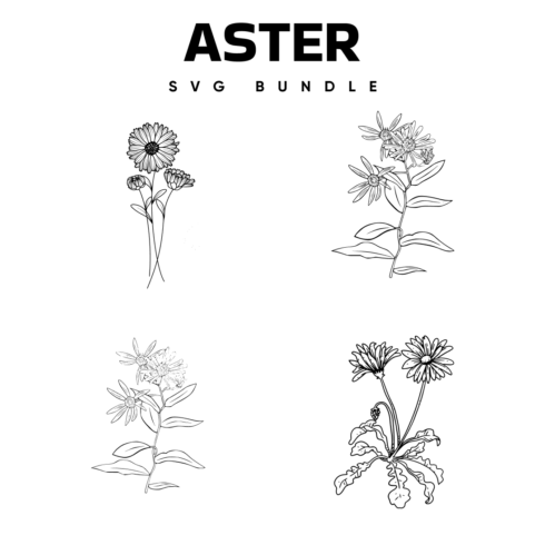 Preview aster bundle.