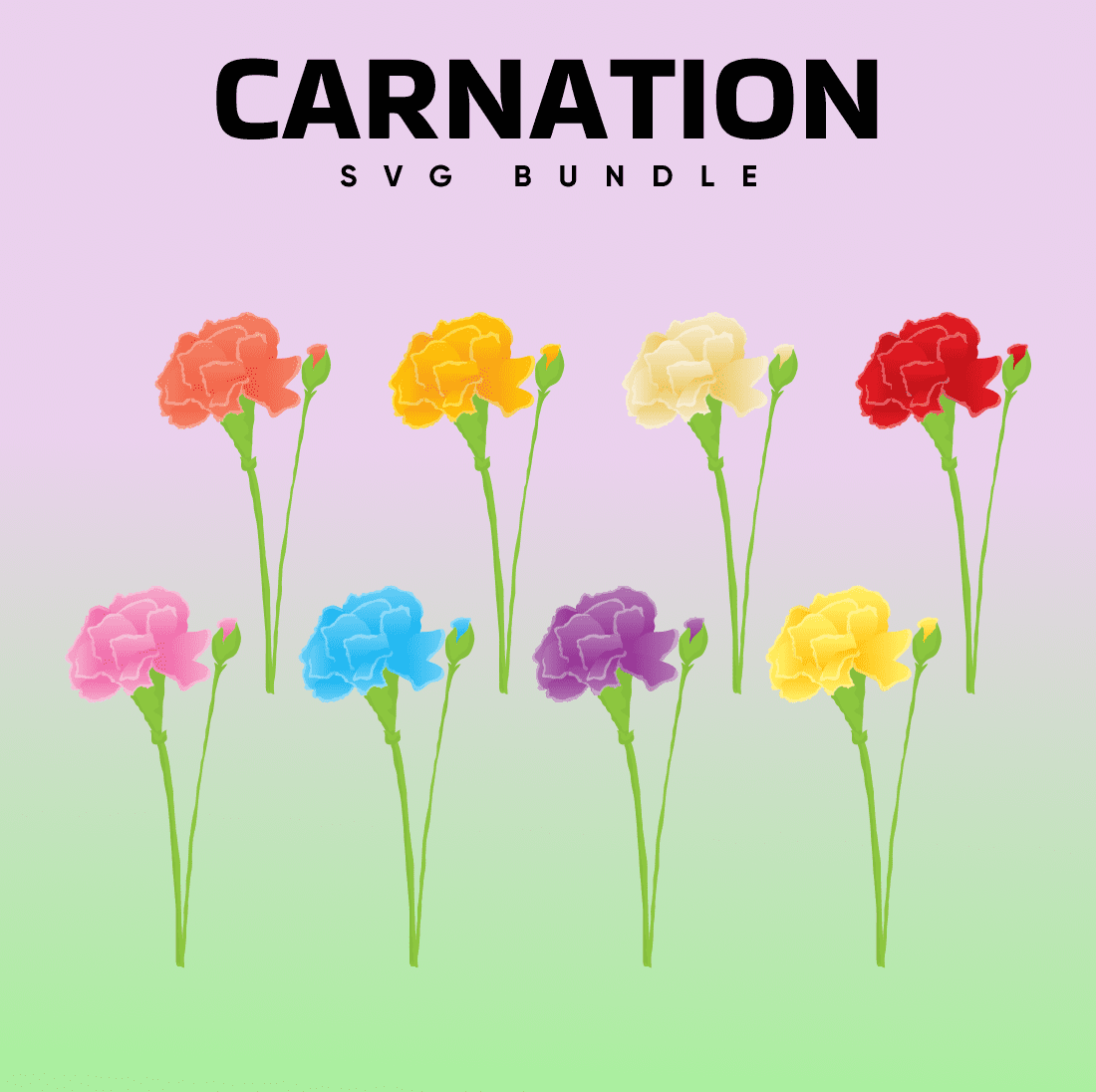 Colored carnations with bud SVG.