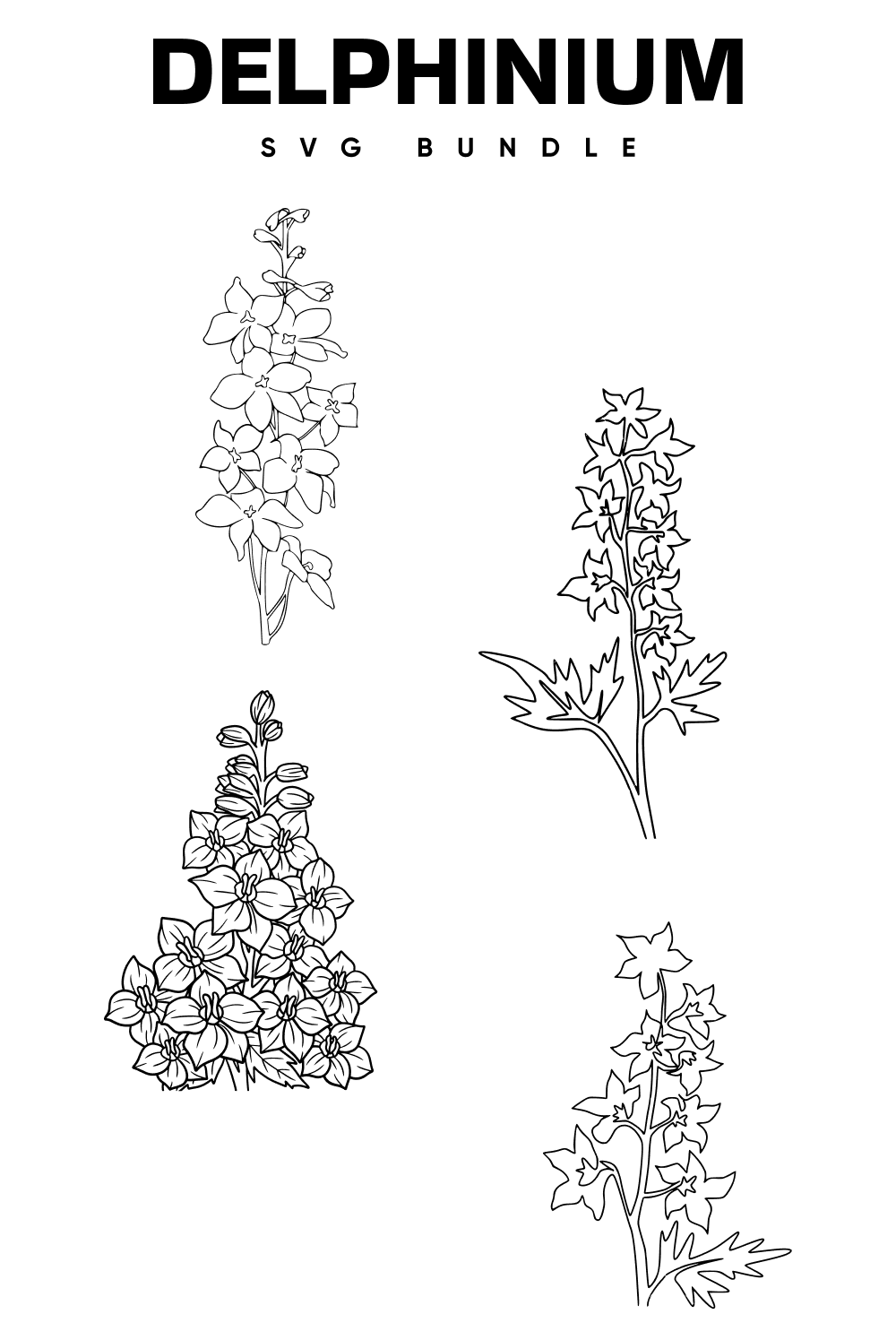 Pinterest illustrations of delphinium bundle.