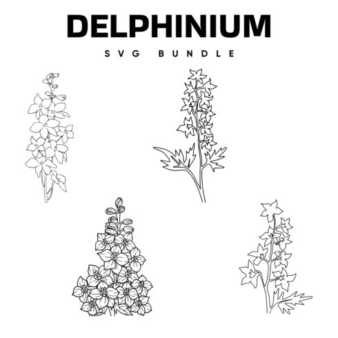 Preview delphinium bundle.