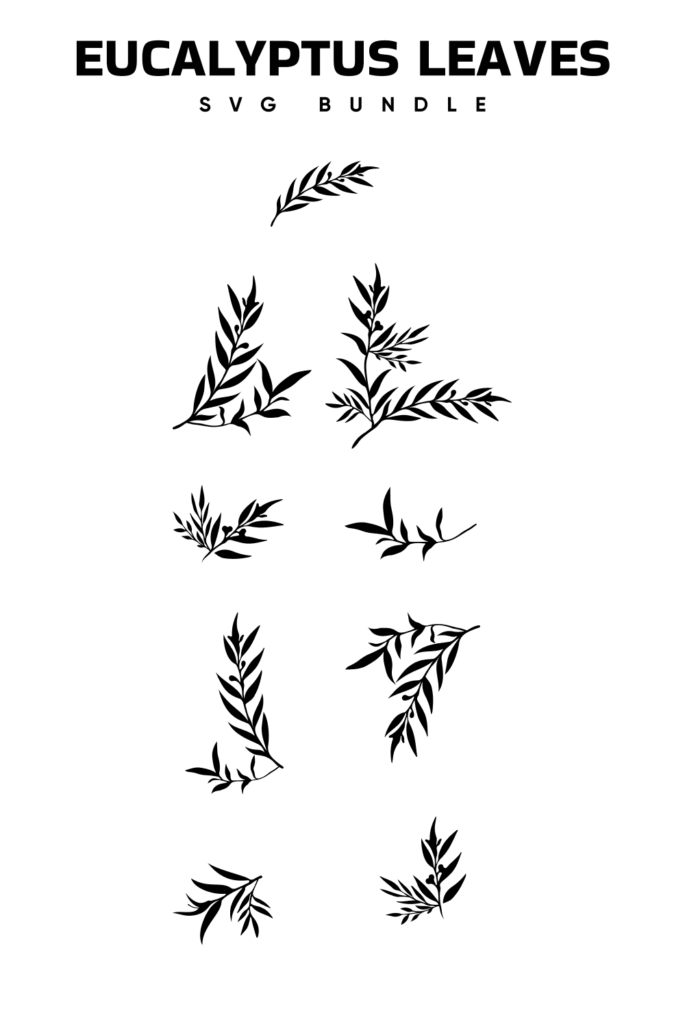 Eucalyptus Leaves SVG Designs – MasterBundles