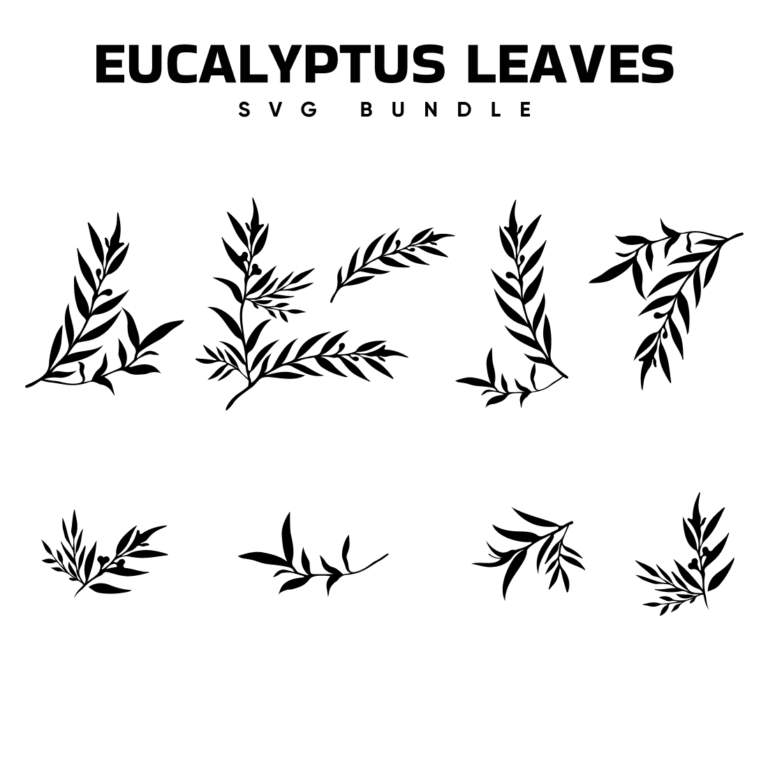 Images with eucalyptus leaves bundle.