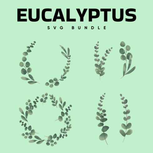 Preview images eucalyptus bundle.