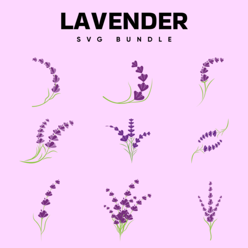 Lavender SVG.