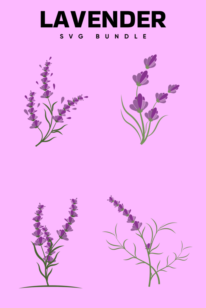 Lavender SVG Free – MasterBundles