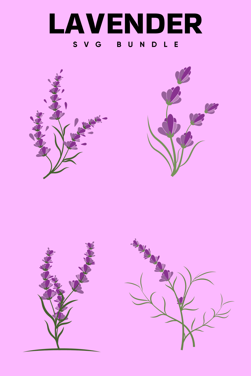 A gentle lavender plant is drawn on a pink background.