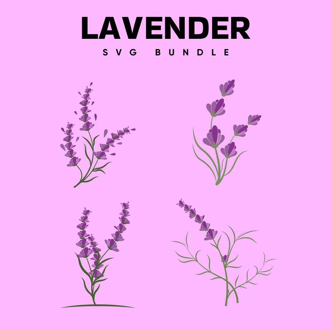 Lavender sprigs with delicate flowers.
