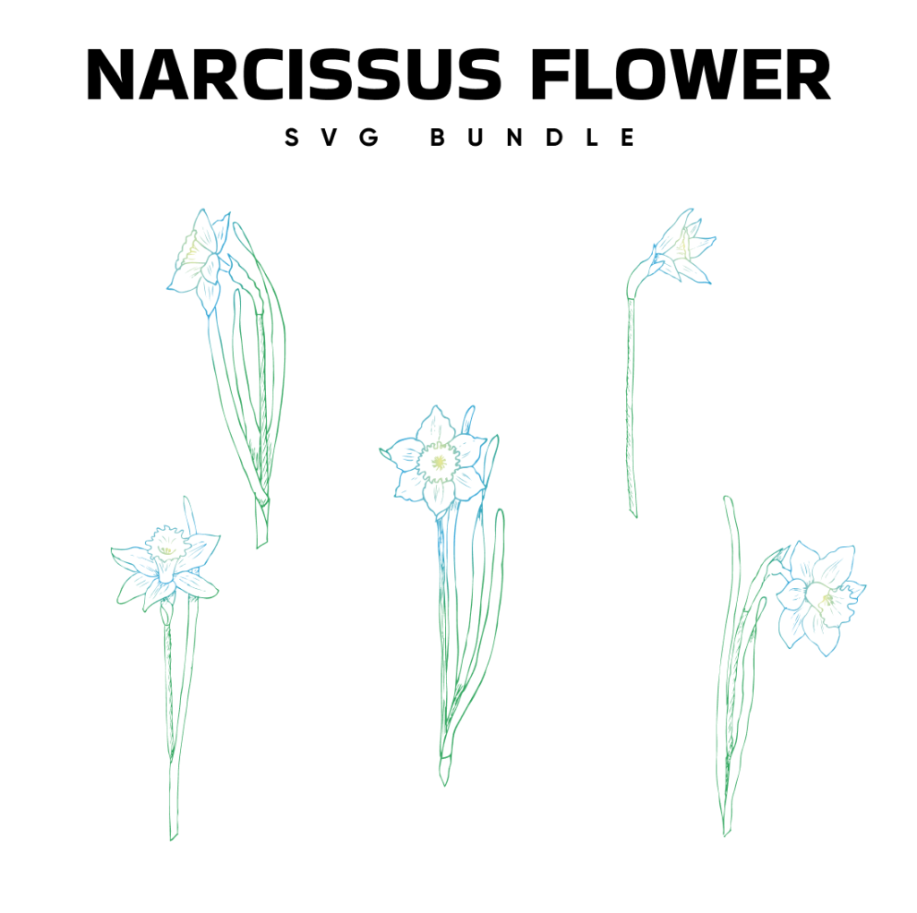 Narcissus Flower SVG – MasterBundles