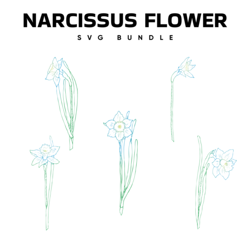 Preview narcissus flower bundle.