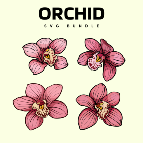 Images with orchid bundle.