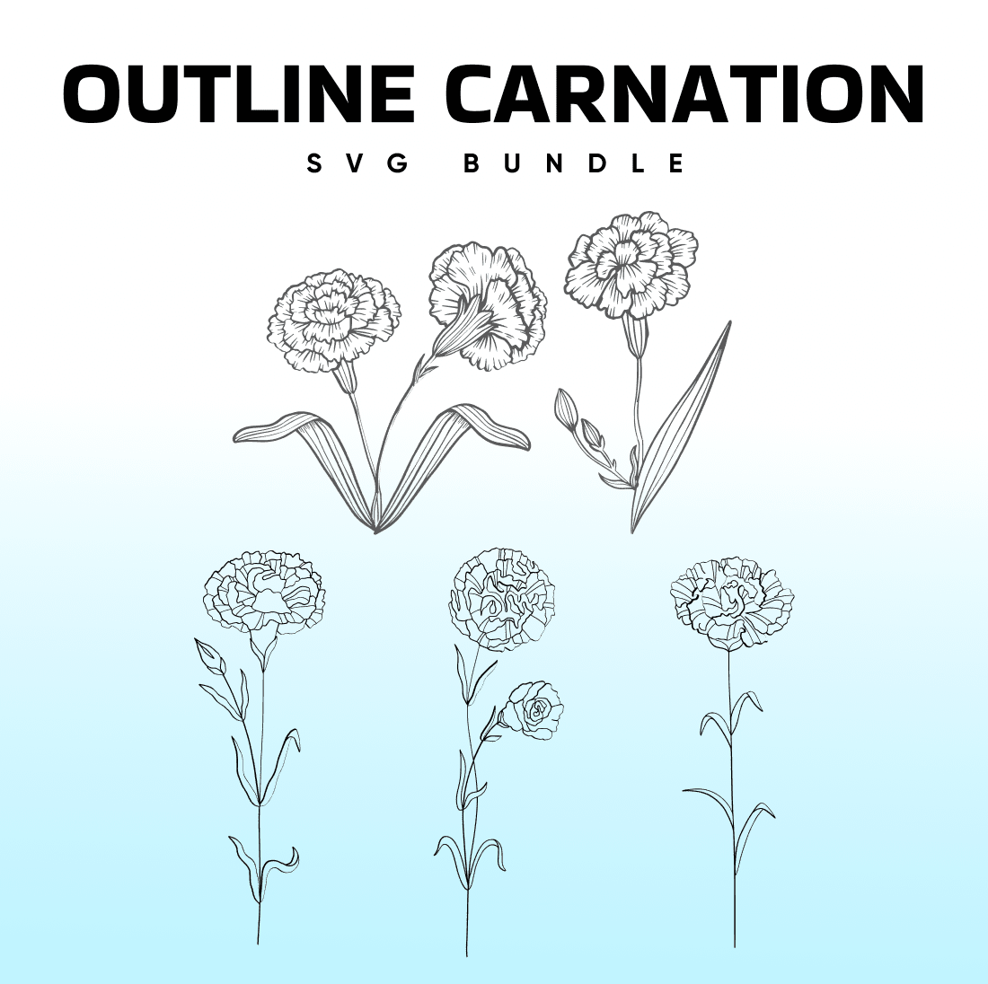 Outline of carnation flower bushes.