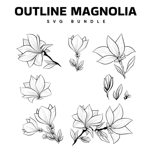 Images with outline magnolia svg bundle.