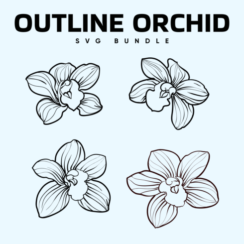 Images with outline orchid bundle.