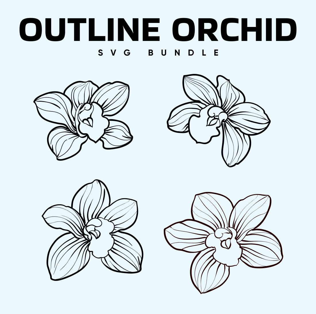 Images with outline orchid bundle.