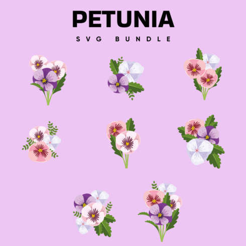 Images with petunia bundle.