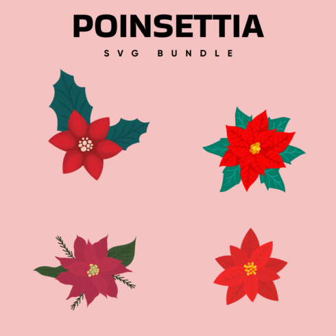 Images with poinsettia bundle.