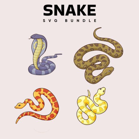 Snake SVG bundle, main picture 1100 x 1100.