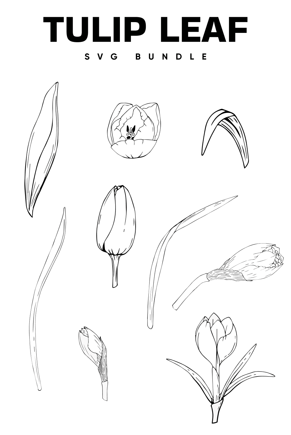 The part of the tulips is drawn in detail with a black outline.