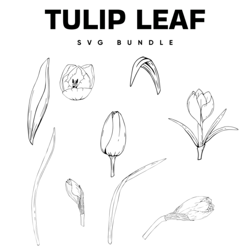 Tulip leaf svg bundle.